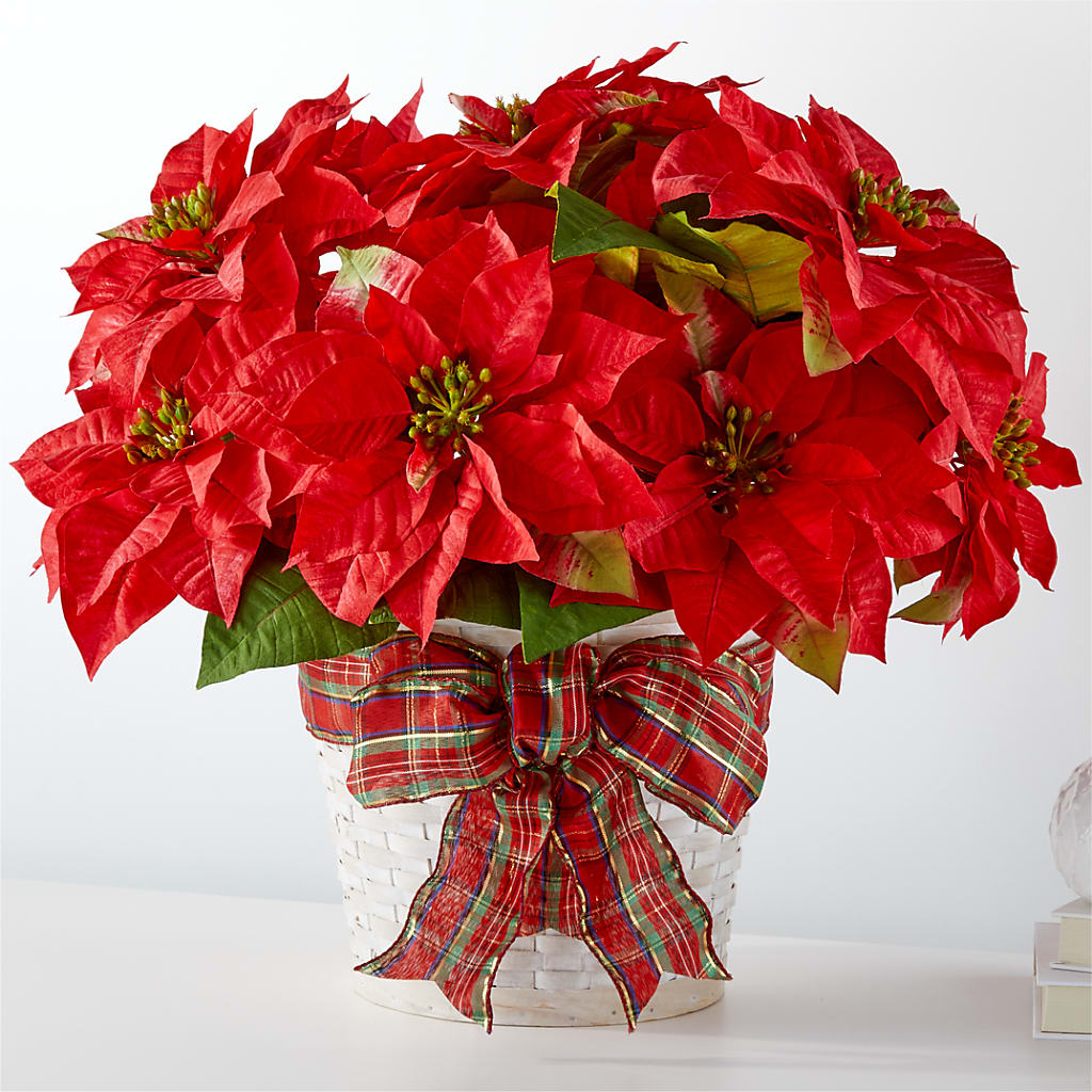 Happiest Holidays Poinsettia – North Shore Florist, North Vancouver BC
