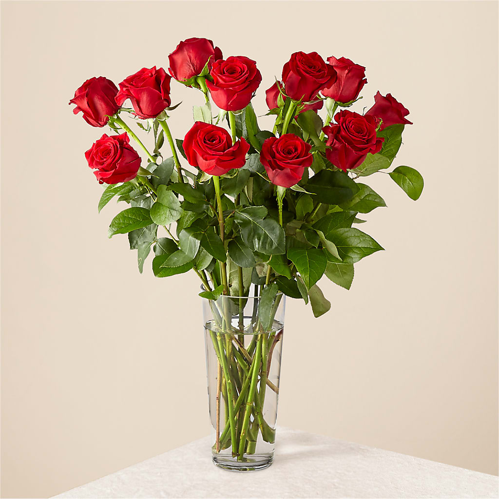 Long Stem Red Rose Bouquet – North Shore Florist, North Vancouver BC