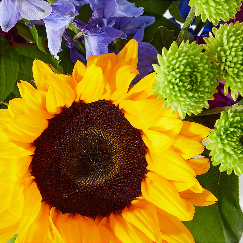 Catching Rays Bouquet – North Shore Florist, North Vancouver BC