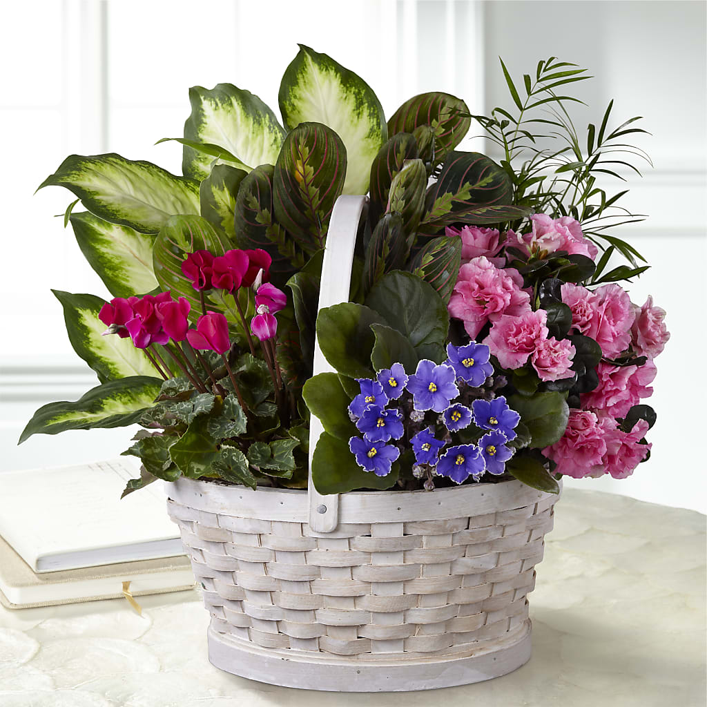 Peaceful Garden Planter – North Shore Florist, North Vancouver BC