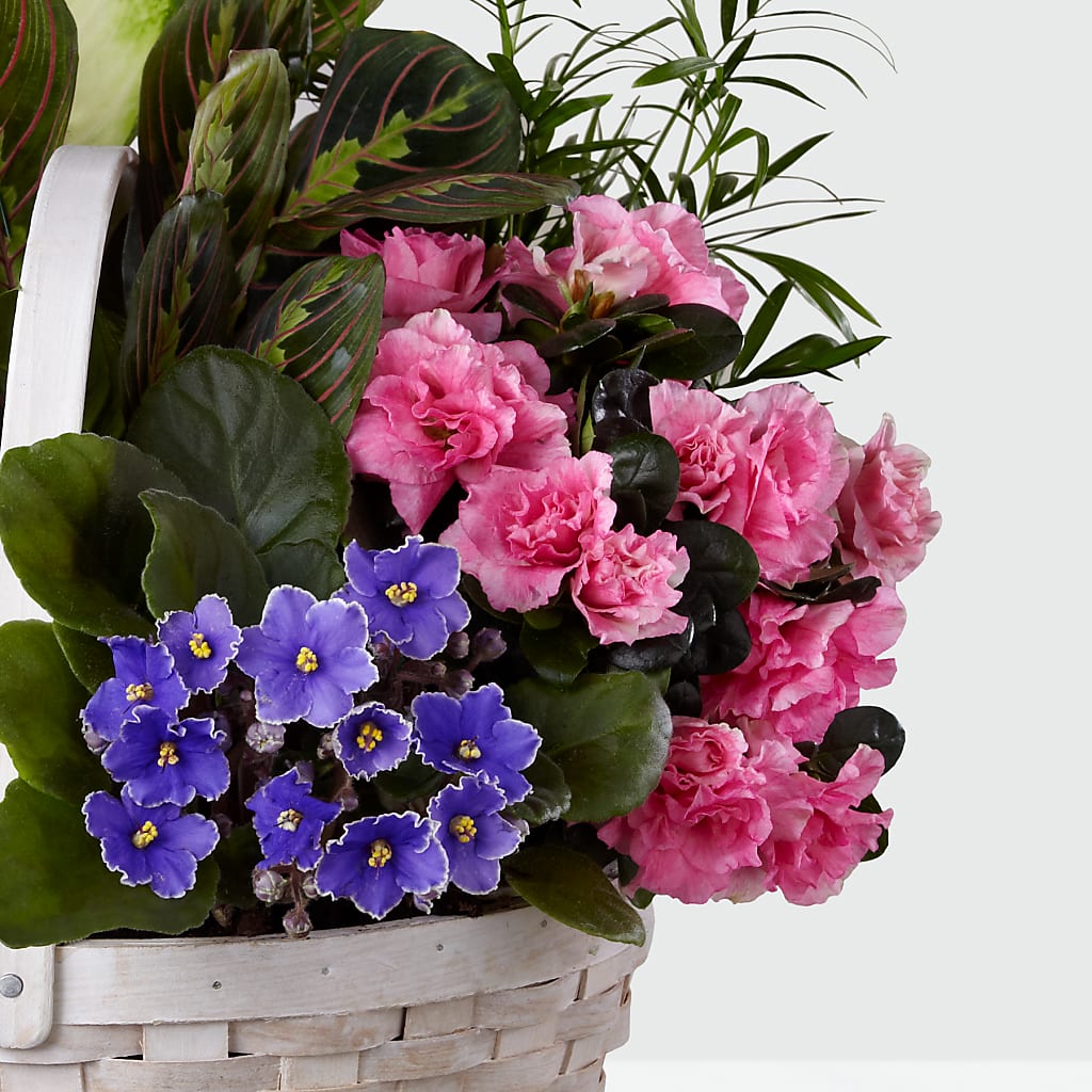 Peaceful Garden Planter – North Shore Florist, North Vancouver BC