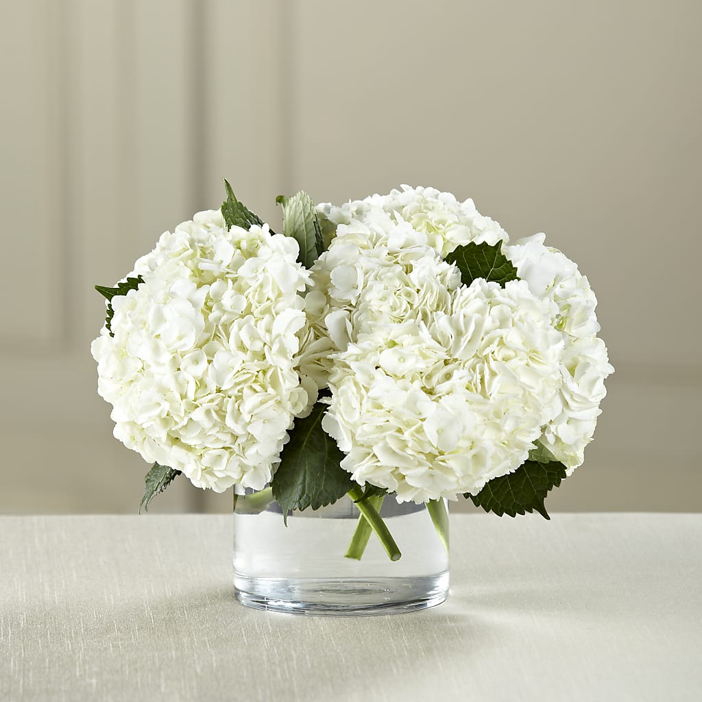 White Hydrangea Bouquet – North Shore Florist, North Vancouver BC