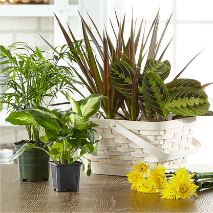 Florist Designed Blooming and Green Plants in a Basket –  North Shore Florist, North Vancouver BC