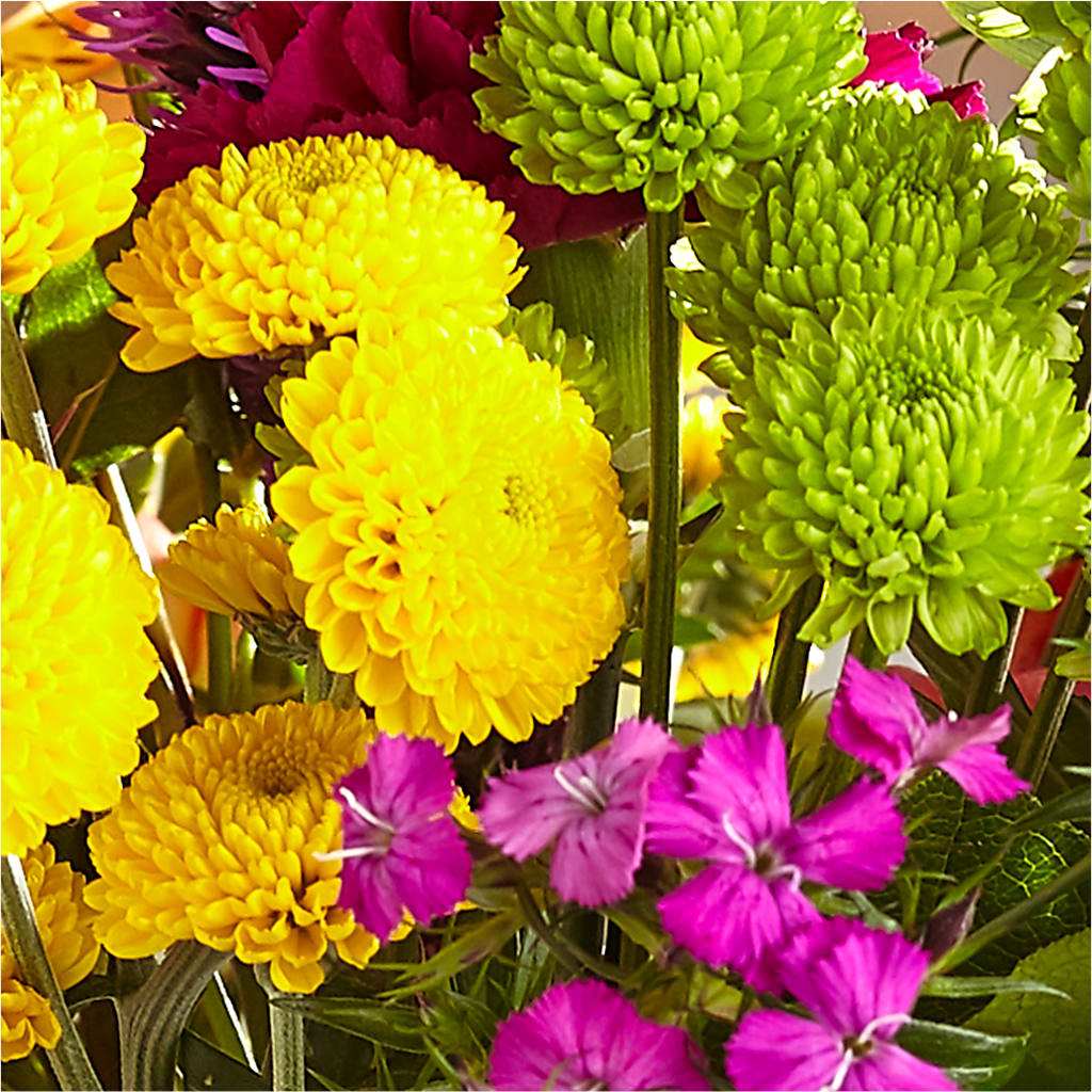 Bold & Bright – A Florist Original –  North Shore Florist, North Vancouver BC