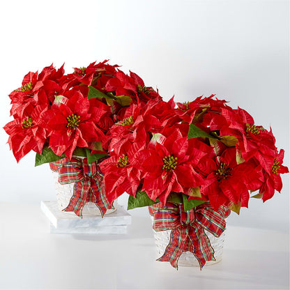 Happiest Holidays Poinsettia Bundle –  North Shore Florist, North Vancouver BC
