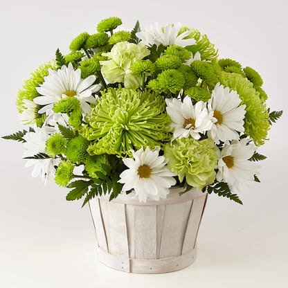 Lucky Charm Basket (Standard) –  North Shore Florist, North Vancouver BC