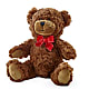 Adorable Plush Bear –  North Shore Florist, North Vancouver BC