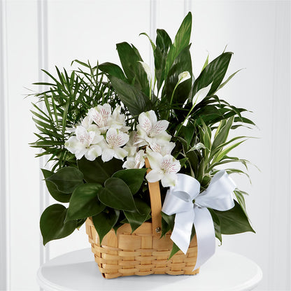 Peace & Serenity Dishgarden –  North Shore Florist, North Vancouver BC
