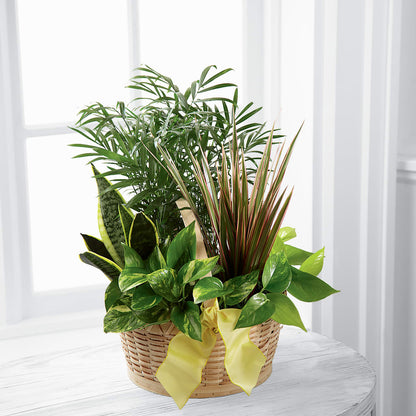 French Garden –  North Shore Florist, North Vancouver BC