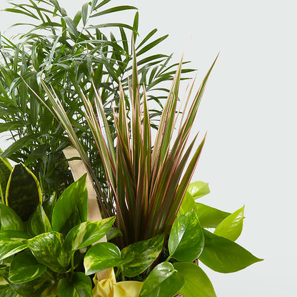 French Garden –  North Shore Florist, North Vancouver BC