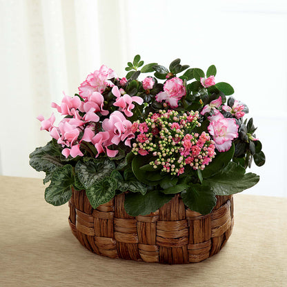 Pink Assortment –  North Shore Florist, North Vancouver BC