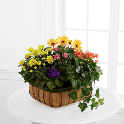 Gentle Blossoms Basket –  North Shore Florist, North Vancouver BC