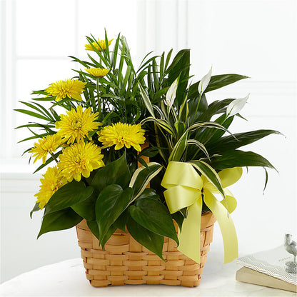 Loving Light Dishgarden –  North Shore Florist, North Vancouver BC