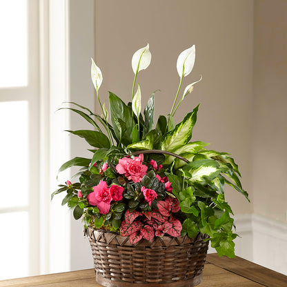 Dream in Pink Dishgarden –  North Shore Florist, North Vancouver BC