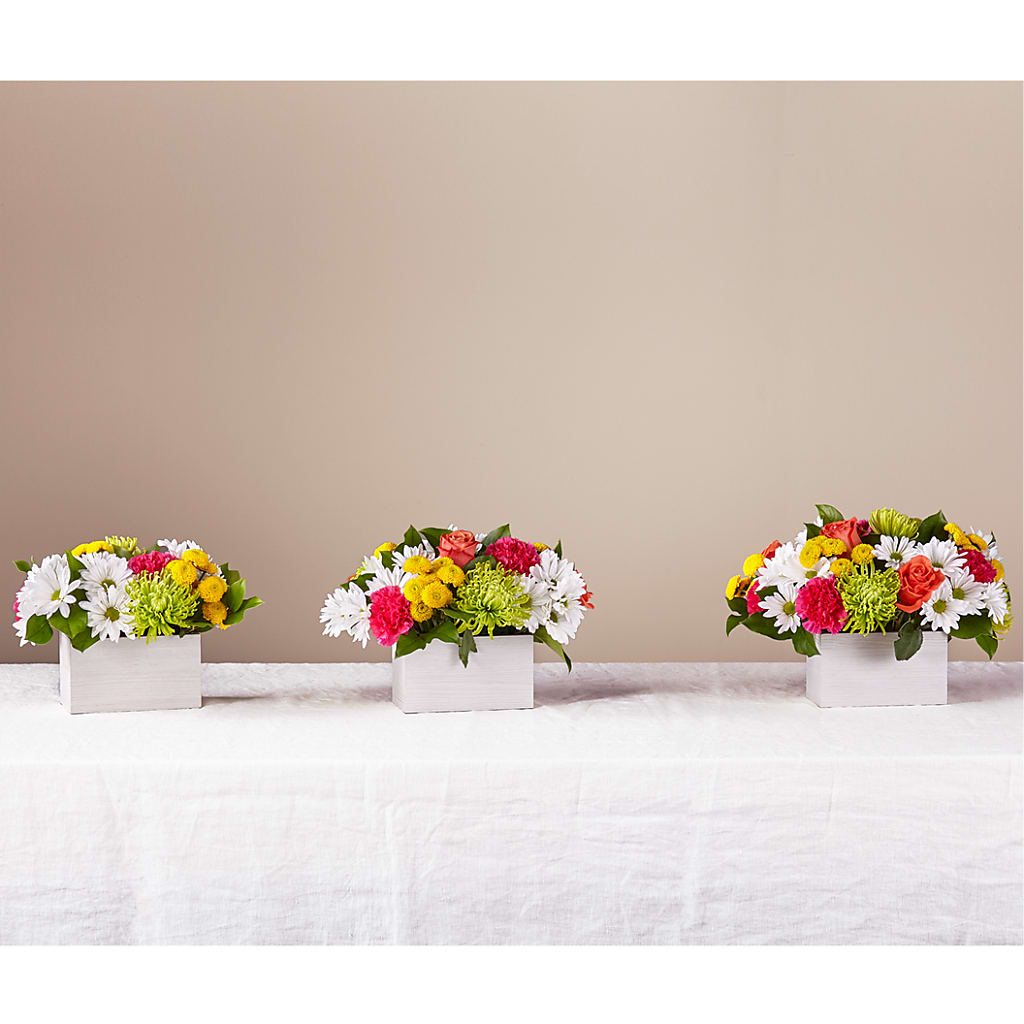 Sorbet Bouquet –  North Shore Florist, North Vancouver BC