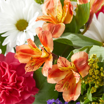 Oopsie Daisy Box Bouquet –  North Shore Florist, North Vancouver BC