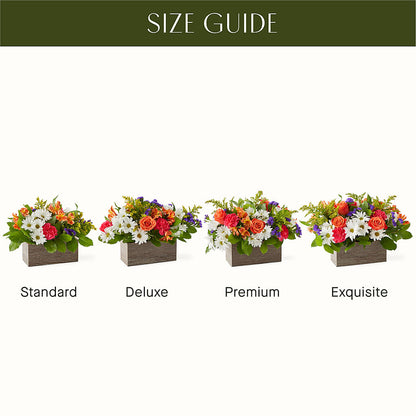 Oopsie Daisy Box Bouquet –  North Shore Florist, North Vancouver BC