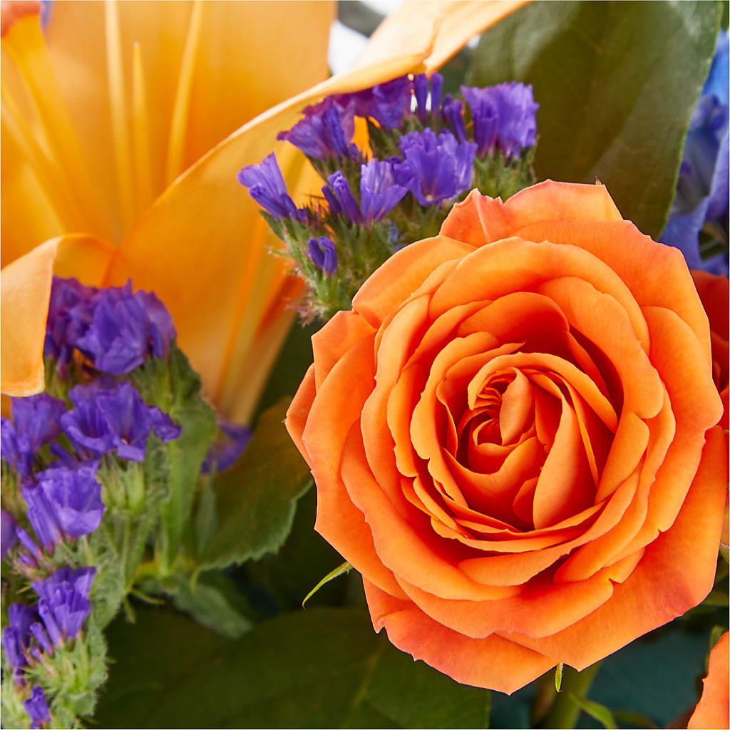 Radiant Citrus Box Bouquet –  North Shore Florist, North Vancouver BC