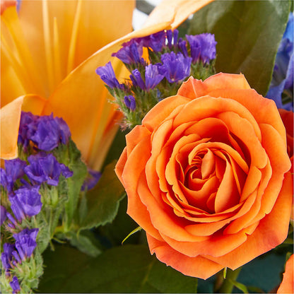 Radiant Citrus Box Bouquet –  North Shore Florist, North Vancouver BC