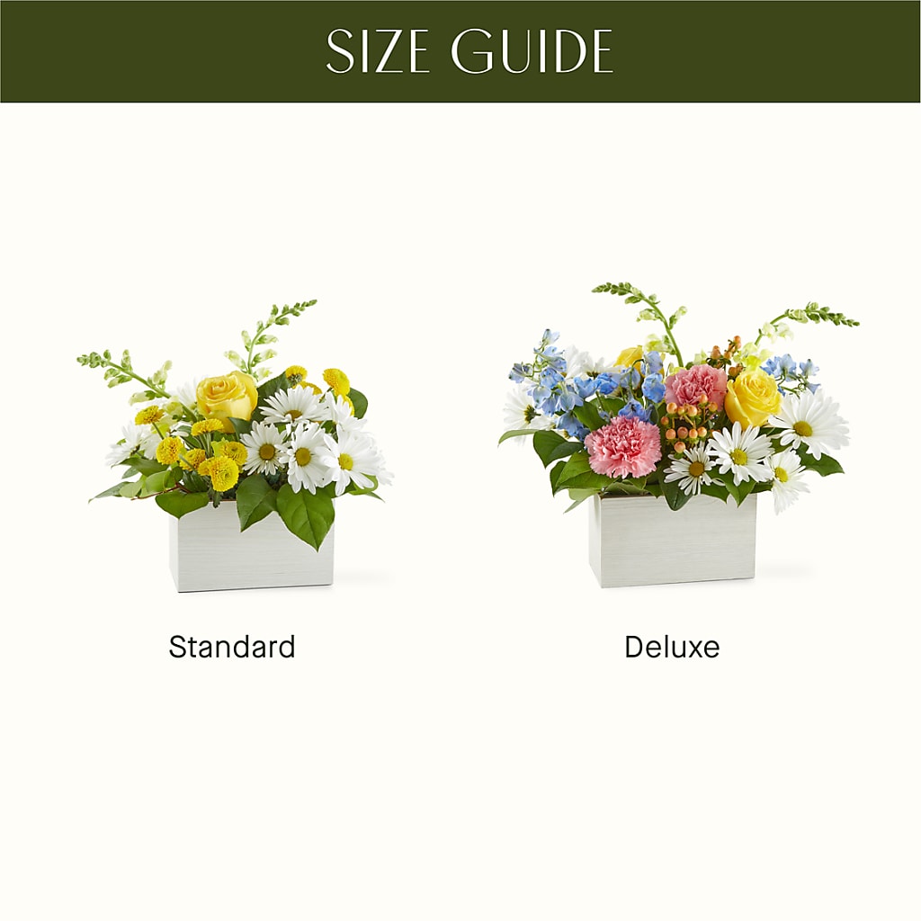 Sun Salutation Box Bouquet –  North Shore Florist, North Vancouver BC