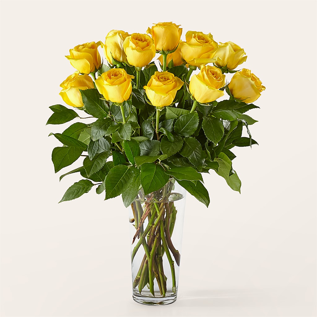 Long Stem Yellow Rose Bouquet –  North Shore Florist, North Vancouver BC