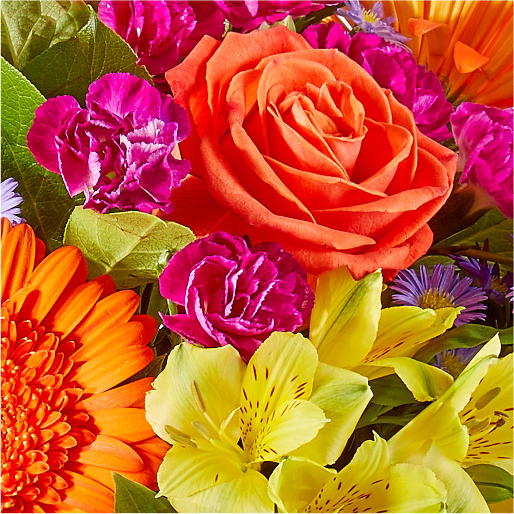 Tricks & Treats Pumpkin –  North Shore Florist, North Vancouver BC