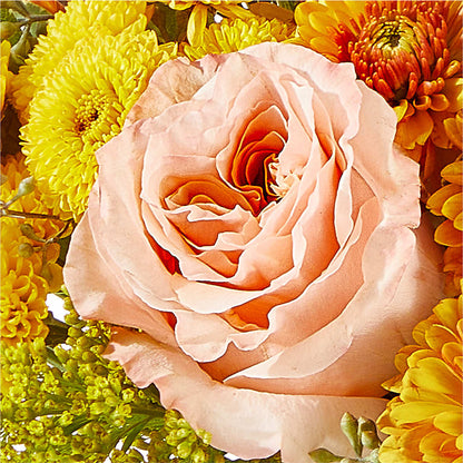 Peachy Pumpkin –  North Shore Florist, North Vancouver BC