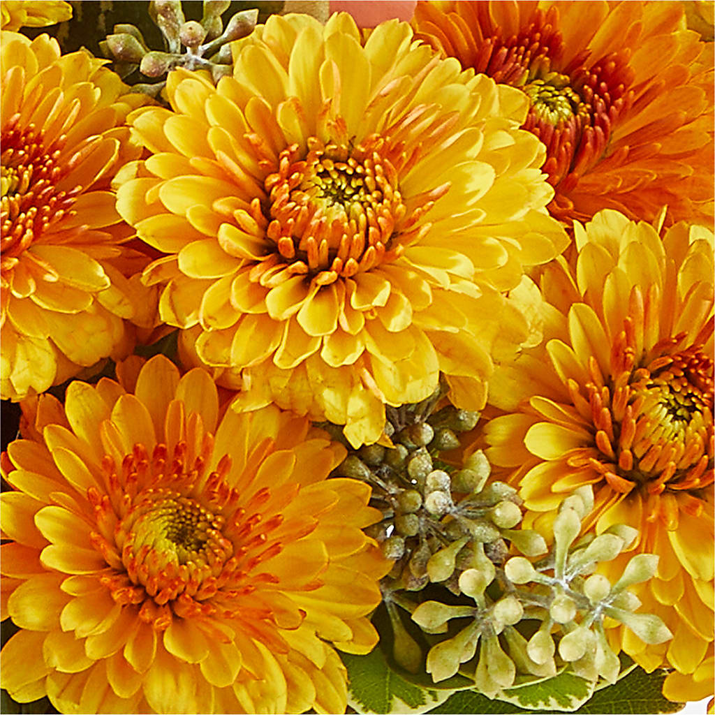 Peachy Pumpkin –  North Shore Florist, North Vancouver BC