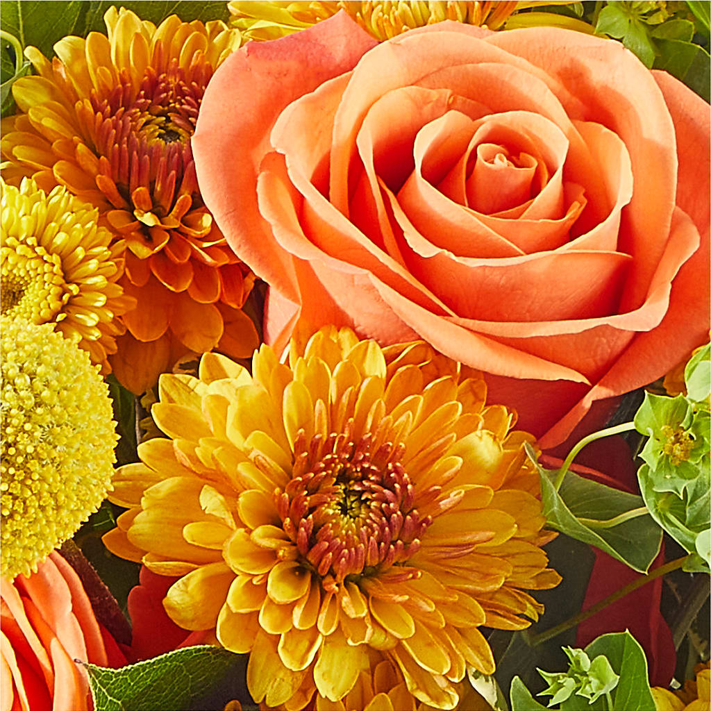 Gourdgeous Pumpkin –  North Shore Florist, North Vancouver BC
