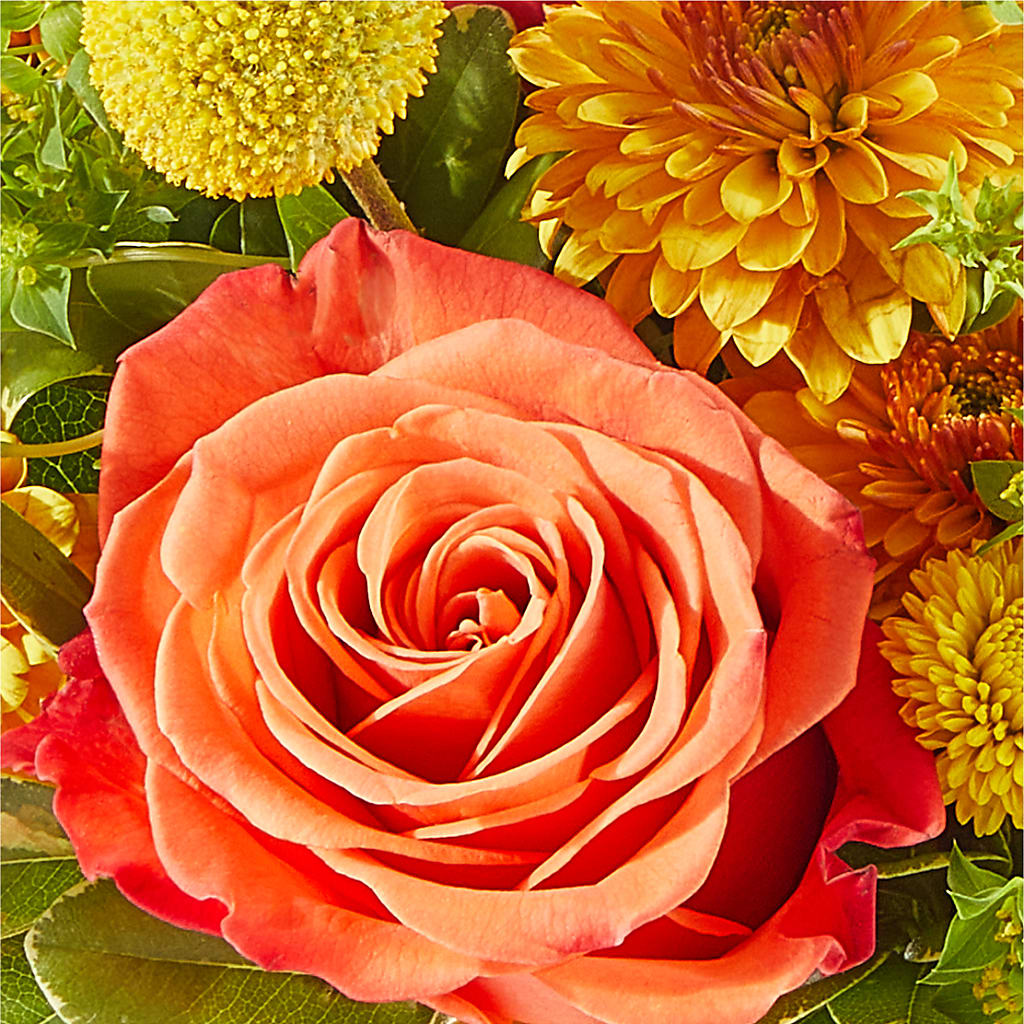 Gourdgeous Pumpkin –  North Shore Florist, North Vancouver BC