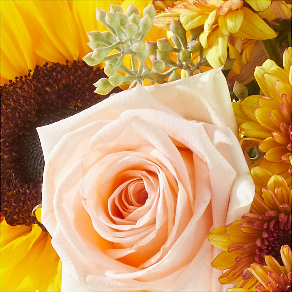 Pumpkin to Talk About Bouquet –  North Shore Florist, North Vancouver BC
