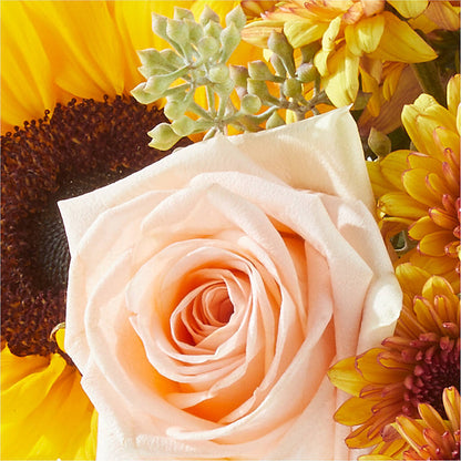 Pumpkin to Talk About Bouquet –  North Shore Florist, North Vancouver BC