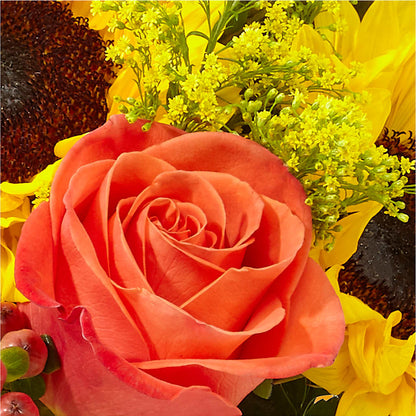 Pick of the Patch Pumpkin Bouquet –  North Shore Florist, North Vancouver BC