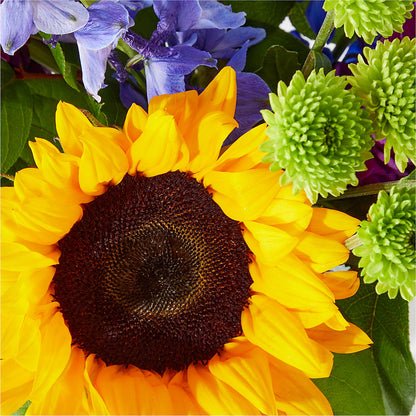 Catching Rays Bouquet –  North Shore Florist, North Vancouver BC