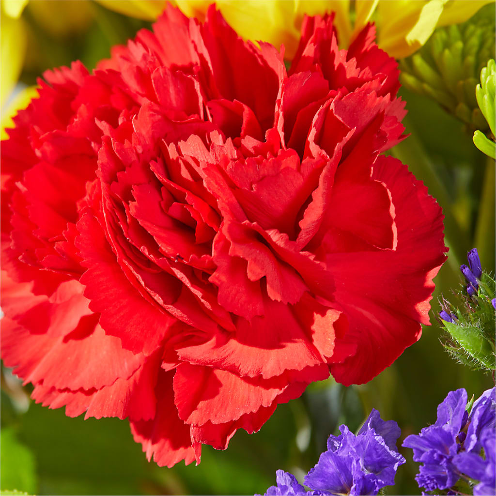 Brighter Days Bouquet –  North Shore Florist, North Vancouver BC
