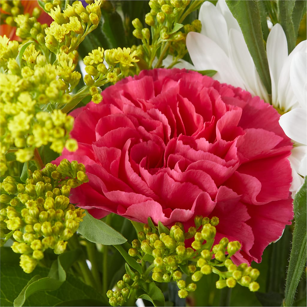 Oopsie Daisy Bouquet –  North Shore Florist, North Vancouver BC