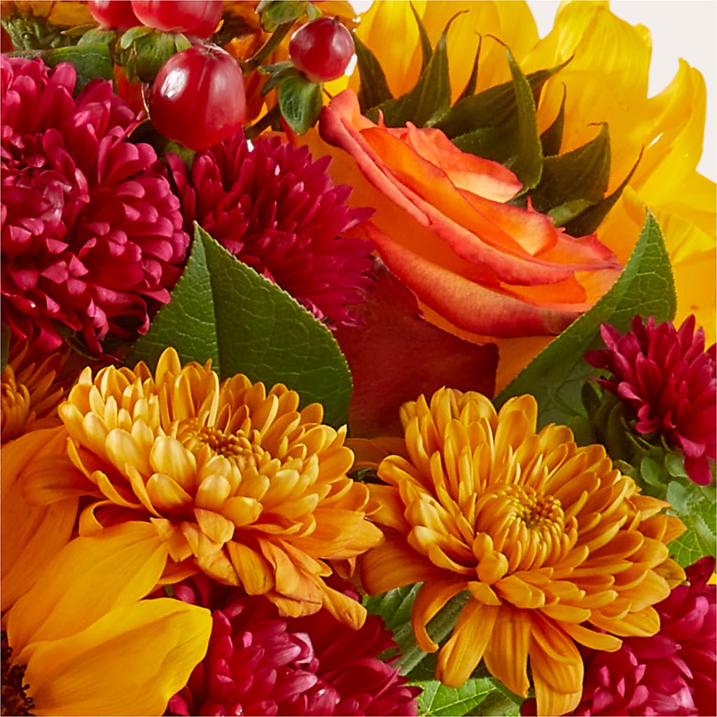 Sweater Season - A Florist Original –  North Shore Florist, North Vancouver BC