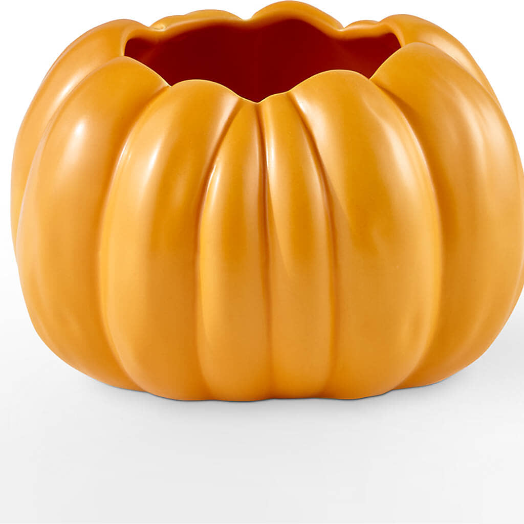 Golden Gourd Pumpkin Bouquet –  North Shore Florist, North Vancouver BC