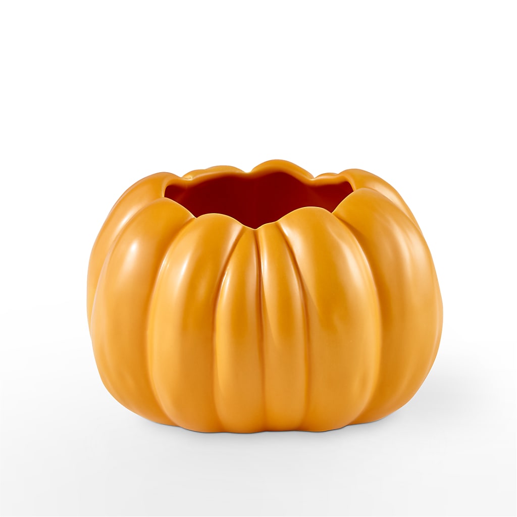 Pick of the Patch Pumpkin Bouquet –  North Shore Florist, North Vancouver BC