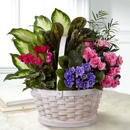 Peaceful Garden Planter –  North Shore Florist, North Vancouver BC