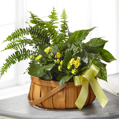 Always Dear Dishgarden –  North Shore Florist, North Vancouver BC