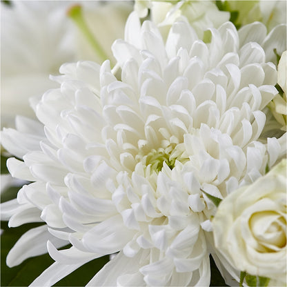 Classic Ivory – A Florist Original –  North Shore Florist, North Vancouver BC