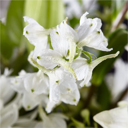 Classic Ivory – A Florist Original –  North Shore Florist, North Vancouver BC