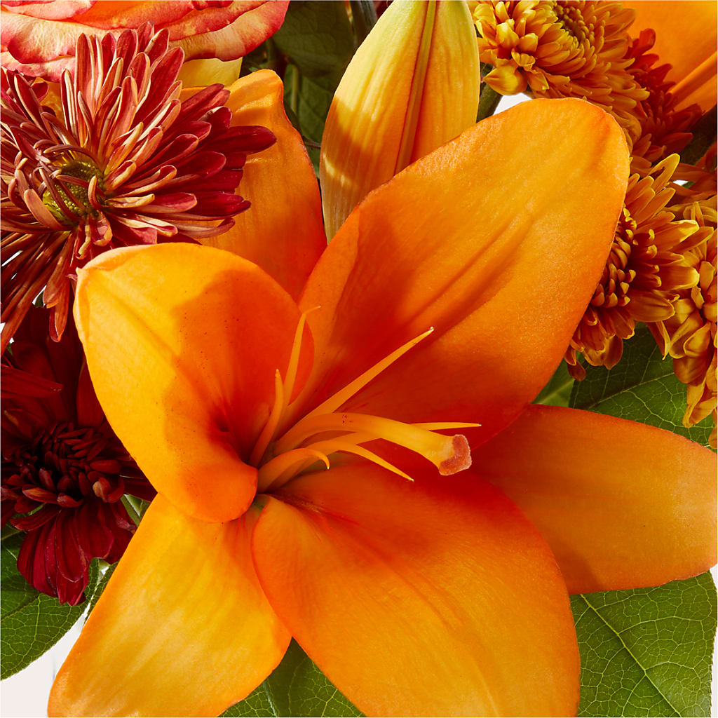 Autumnal Aroma Bouquet –  North Shore Florist, North Vancouver BC