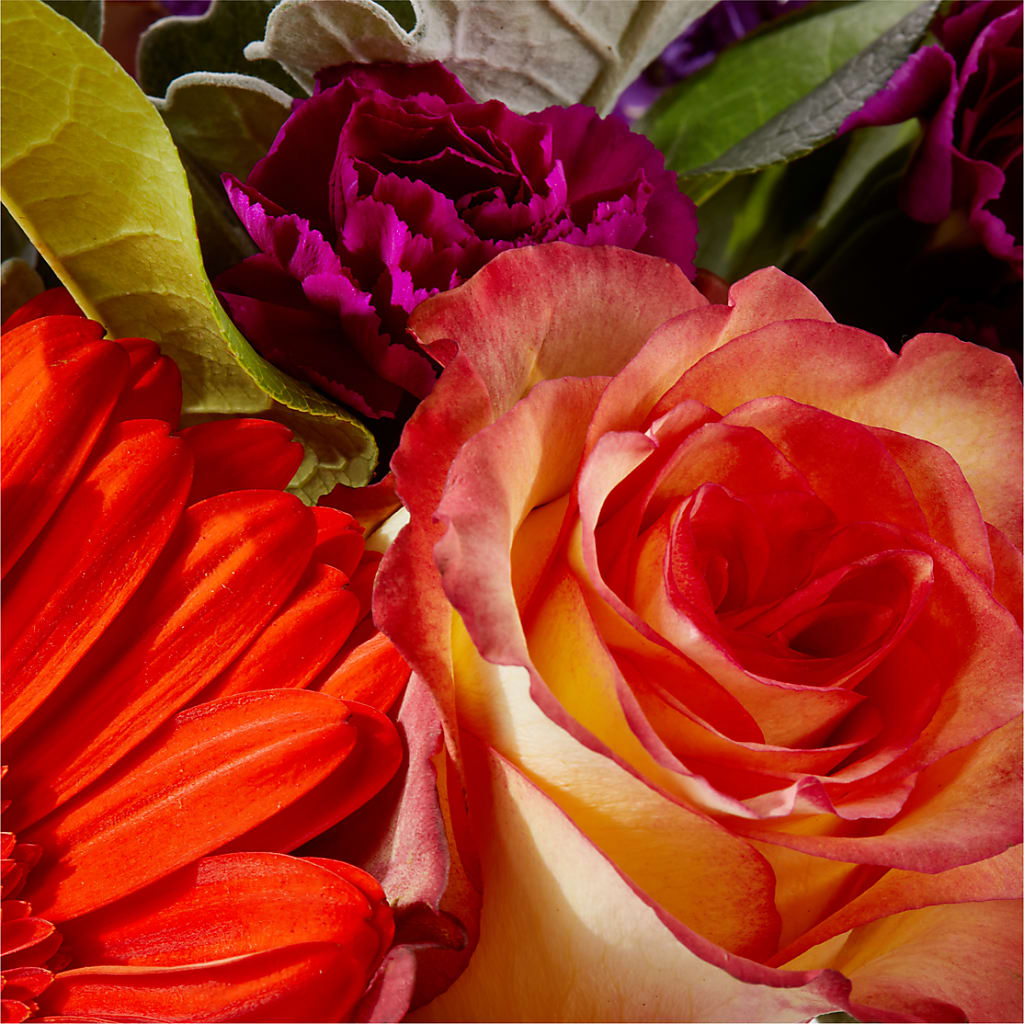 Sangria Bouquet –  North Shore Florist, North Vancouver BC