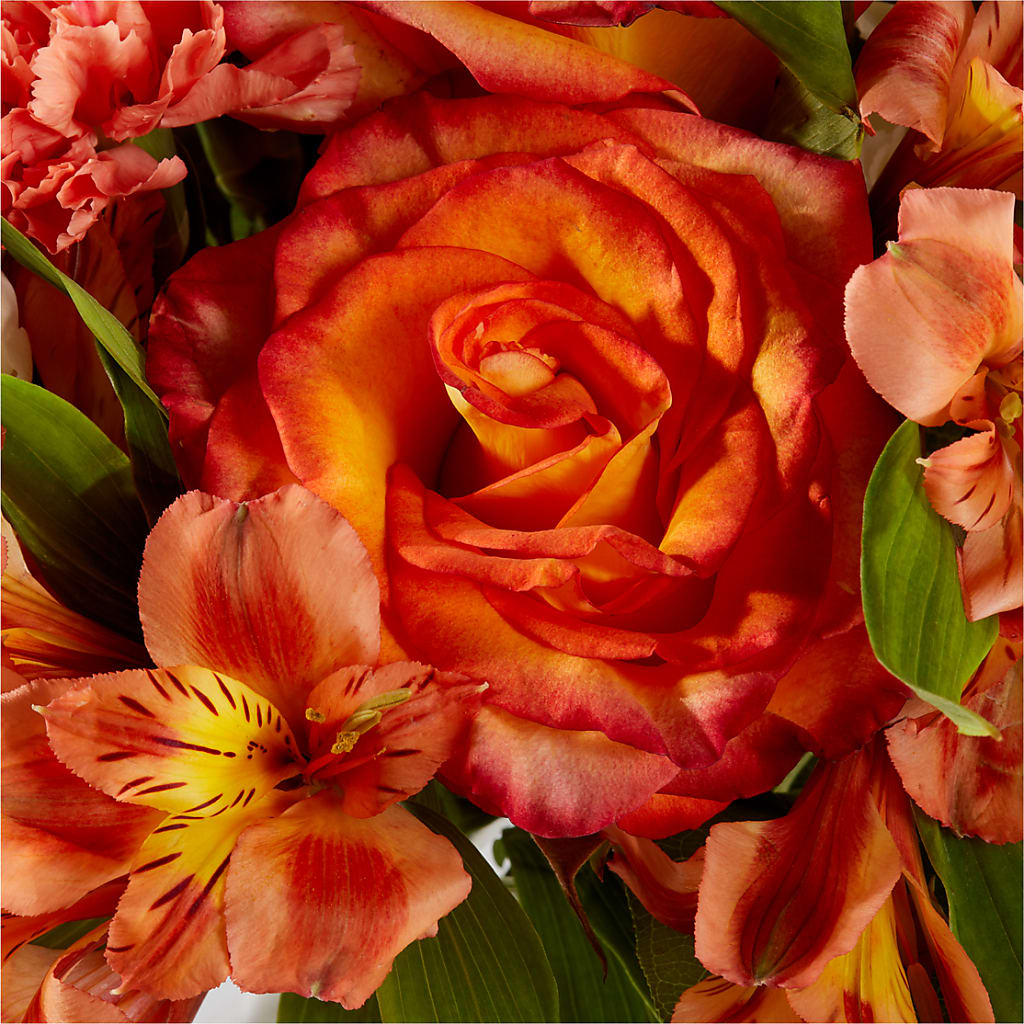 Apricot Glow Bouquet –  North Shore Florist, North Vancouver BC