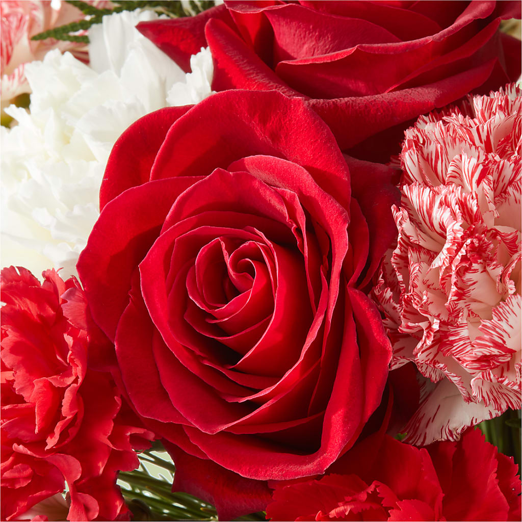 Candy Cane Lane Bouquet –  North Shore Florist, North Vancouver BC