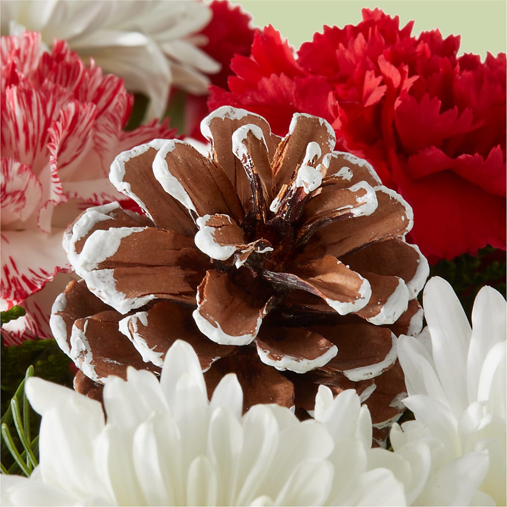 Candy Cane Lane Bouquet –  North Shore Florist, North Vancouver BC