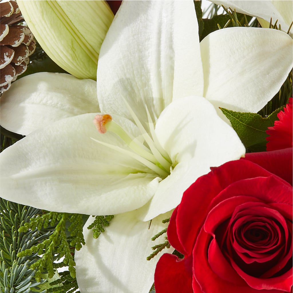 Oh So Jolly Bouquet –  North Shore Florist, North Vancouver BC