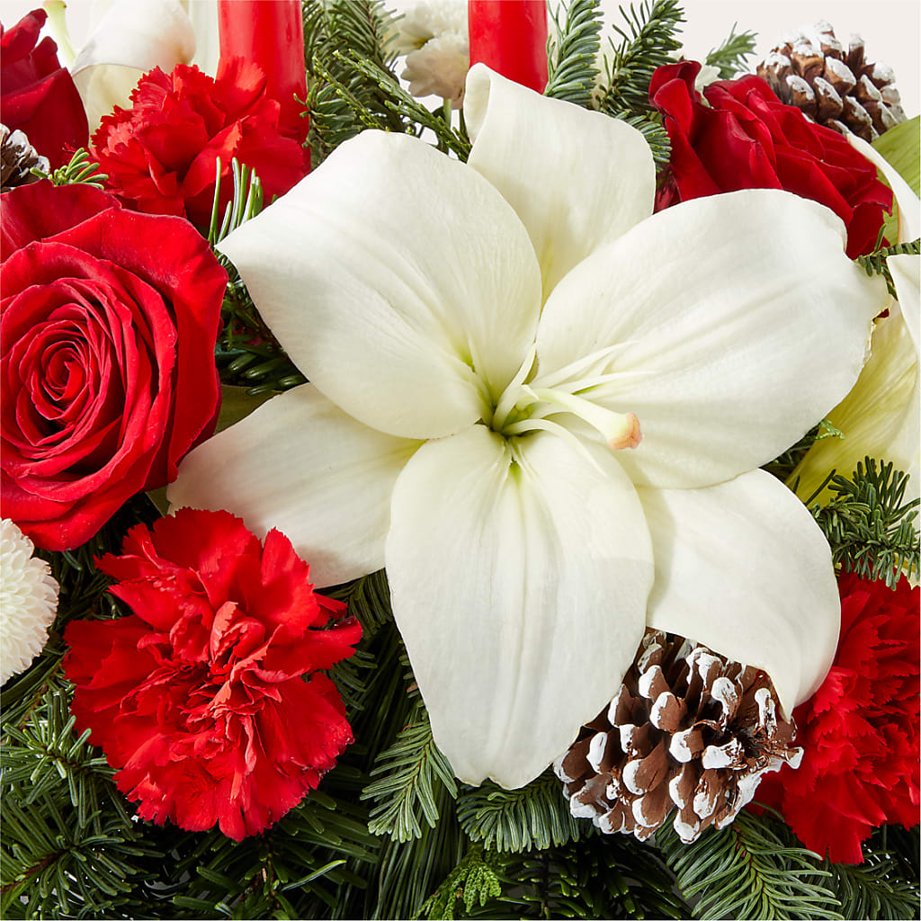 Seasonal Festivities Centerpiece –  North Shore Florist, North Vancouver BC